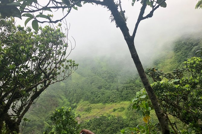 Mount Liamuiga Volcano Tours - Five hours of effort, then the return