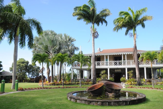 Nevis Island Half-Day Tour - What the cultural focus adds