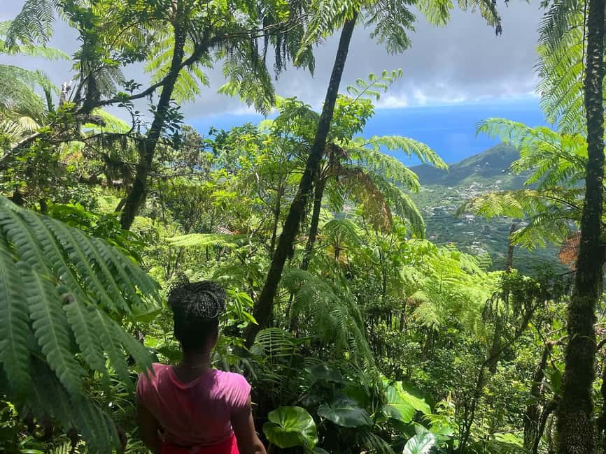 Nevis Peak Hike - Climbing a dormant volcano in the center of Nevis