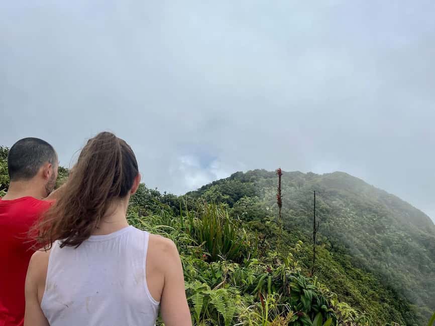 Nevis Peak Hike - The forest, clay soil, and cool mountain air