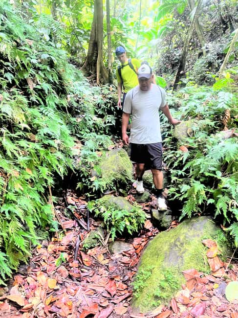 Nevis Waterfalls/Russel's Rest Hike - Practical planning for a comfortable outing