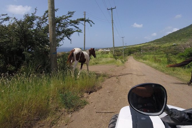Off roading Morning Excursion - Meeting Maxine and getting ready to drive
