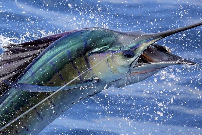Private Fishing & Snorkel Charters in St Kitts and Nevis - Key points before you book