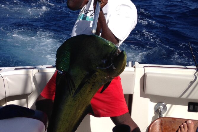 Private Fishing & Snorkel Charters in St Kitts and Nevis - Choosing your fishing style