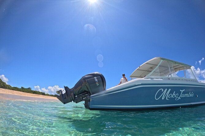 Private Power Catamaran Adventure in Saint Kitts and Nevis - Starting in Basseterre at 10 a.m.