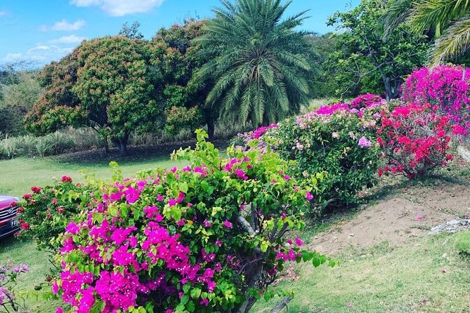 Private Tour in St. Kitts - How to make the most of three to four hours
