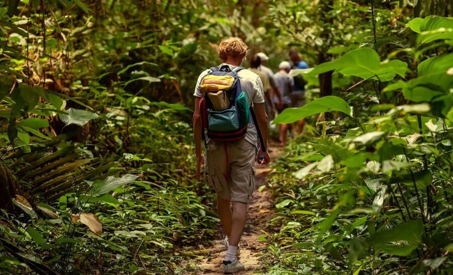 Rainforest Adventure - Key Points to Know Before You Book