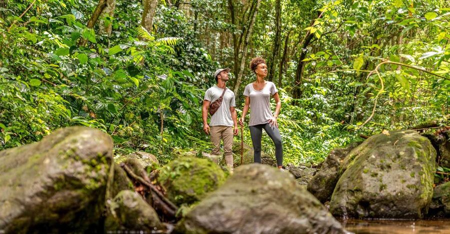 Rainforest Adventure - What This Three-Hour Experience Really Covers
