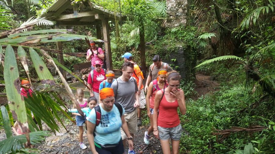 Rainforest Adventure - Following the Wingfield River