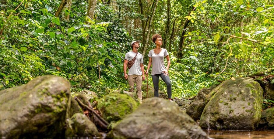 Rainforest Adventure - Old Road Town and the Sugar Plantation Setting