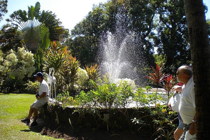 Rosevelt's Special Best of St. Kitts/Panoramic Tour - What the $67 price really covers