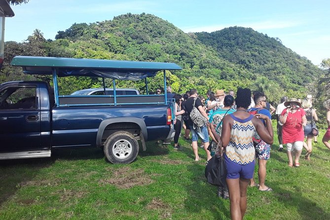 Safari Extravaganza - Key points to know before booking