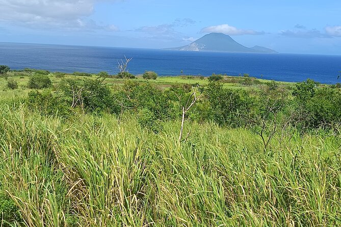 Saint Kitts Train Trek - The scenery from the moving train