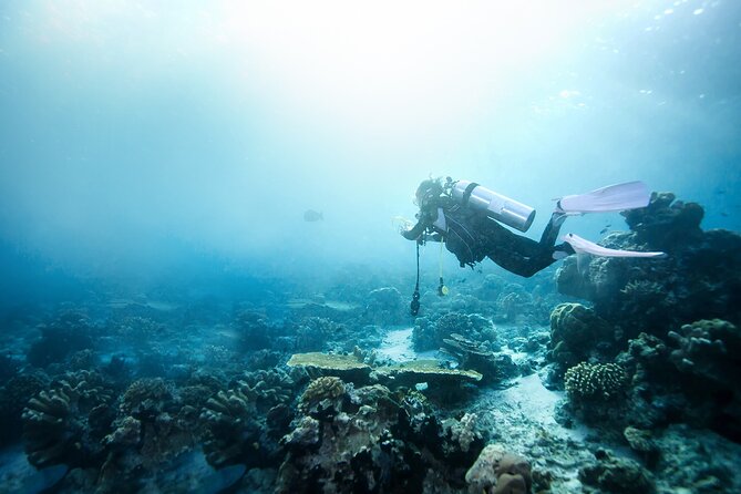Scenic City Tour and Beach Escape - Water sports, snorkeling, and extra charges