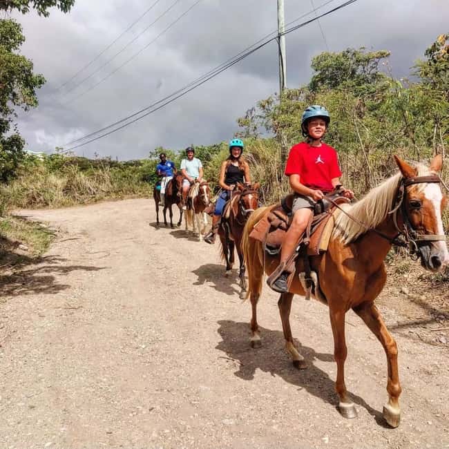 Scenic Horseback Trail - Key things to know before you saddle up
