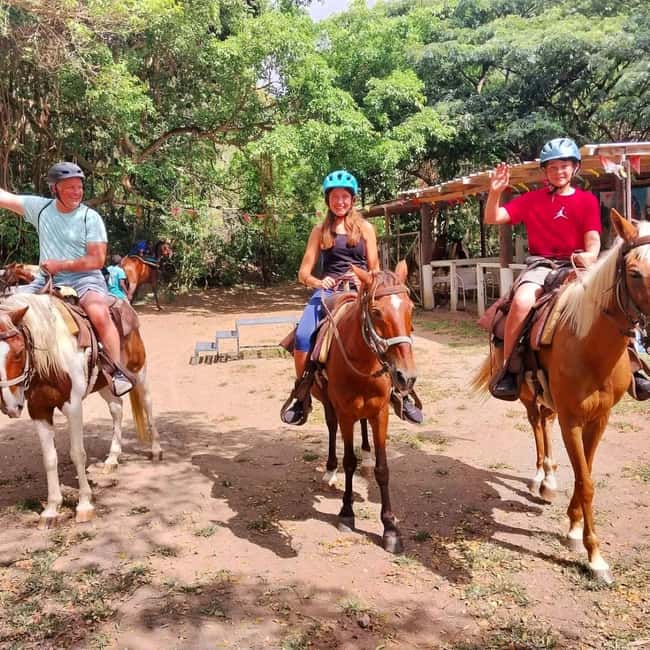 Scenic Horseback Trail - Horseback riding through seasonal fruit trees