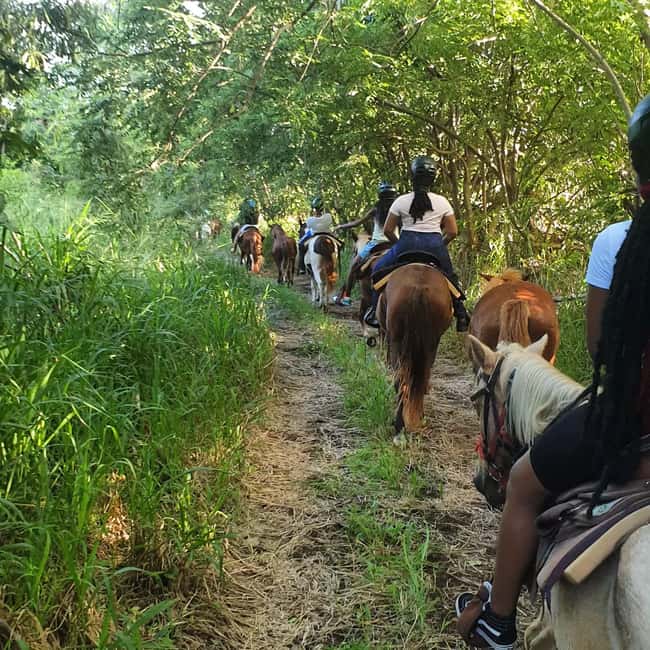 Scenic Horseback Trail - Who should book this ride?
