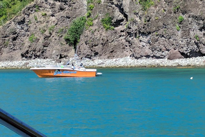 Scenic Speed-Boat Snorkel Tour - Is the $80 Price Fair?