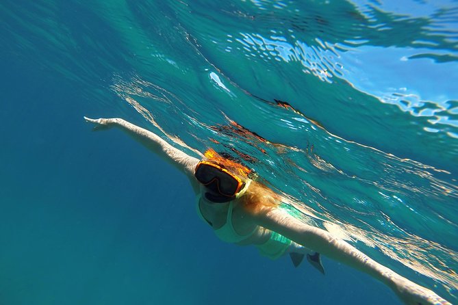 Scenic Speed-Boat Snorkel Tour - Shitten Bay and Its Underwater Sights