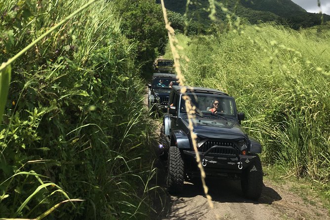 Self Drive 4x4 Off Road Jeep Wrangler & Beach Chill - Key points before you book
