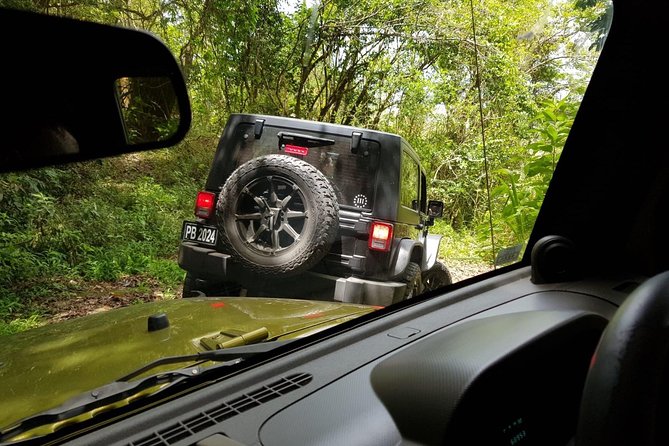 Self Drive 4x4 Off Road Jeep Wrangler & Beach Chill - Who will enjoy this St. Kitts excursion most
