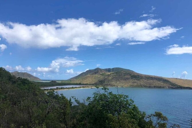 St Kitts 360 Island Sightseeing Tour - The rainforest river trail