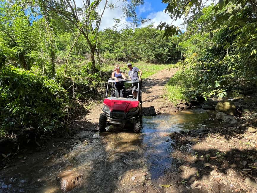 St. Kitts:Countryside Dune Buggy Tour - Is $100 a fair price?