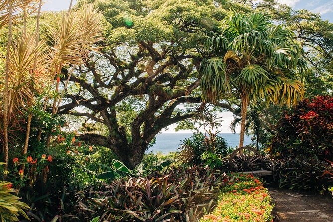St. Kitts Full Island Excursion - Timothy Hill: the best first look at St. Kitts