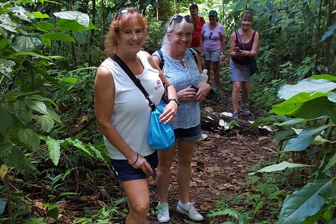 St Kitts Half-Day Rainforest Tour - Five useful things to know before you book