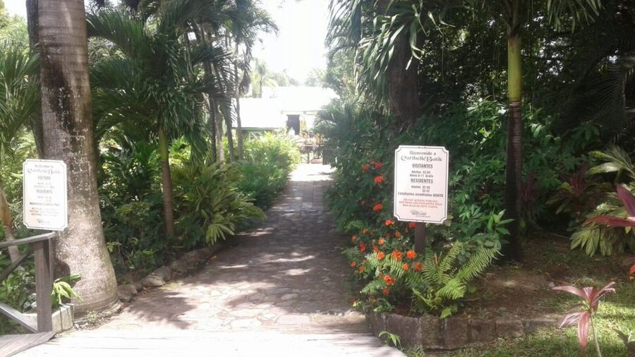 St. Kitts Island Half-Day Bus Tour - Who should book this St. Kitts tour?