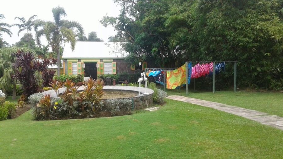 St. Kitts Island Half-Day Bus Tour - What the bus format means for your day