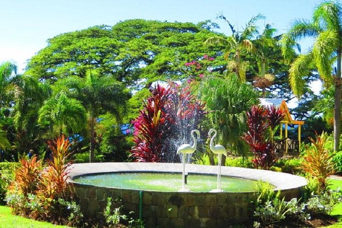 St Kitts Island Tour (Reconfirm Ship or Hotel) - Why this St. Kitts tour works as an island introduction