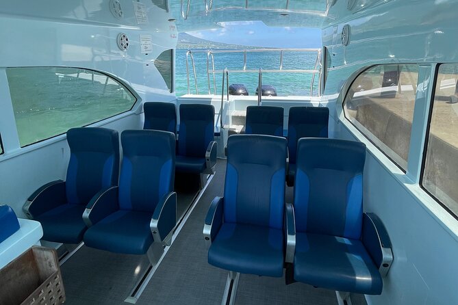 St Kitts & Nevis Airport Roundtrip Transfers - Meeting the Representative and Starting the Ride