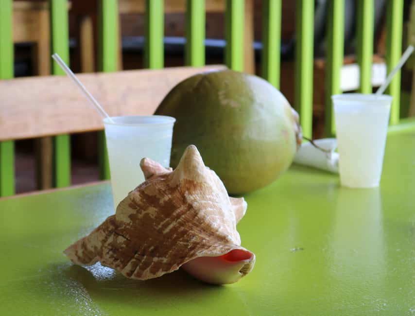 St. Kitts: Nevis Island Tour and Beach Time with Lunch - Key points to know before booking
