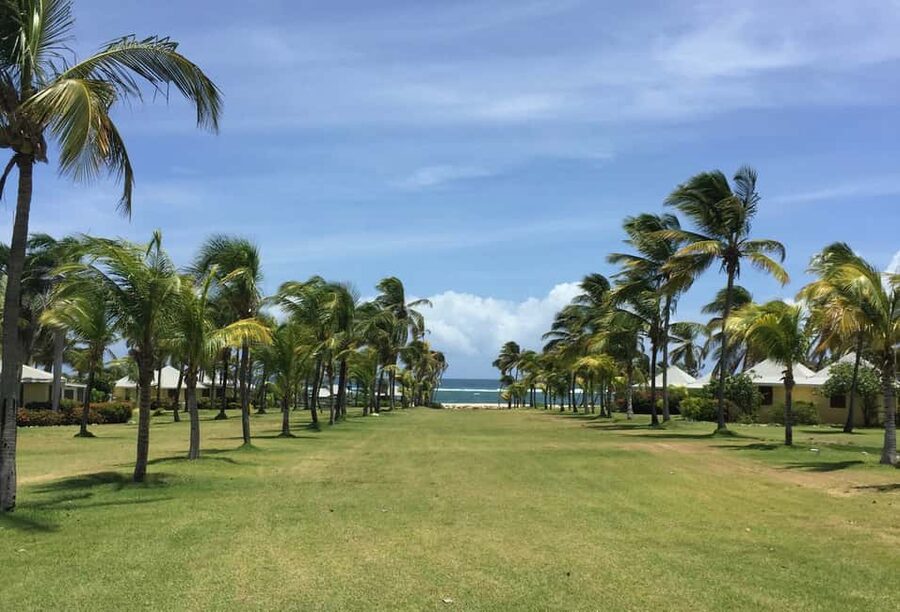 St. Kitts: Nevis Island Tour and Beach Time with Lunch - Crossing the Narrows by power catamaran