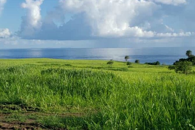 St Kitts Rainforest Nature Tour - The Central Forest Reserve brings the walking