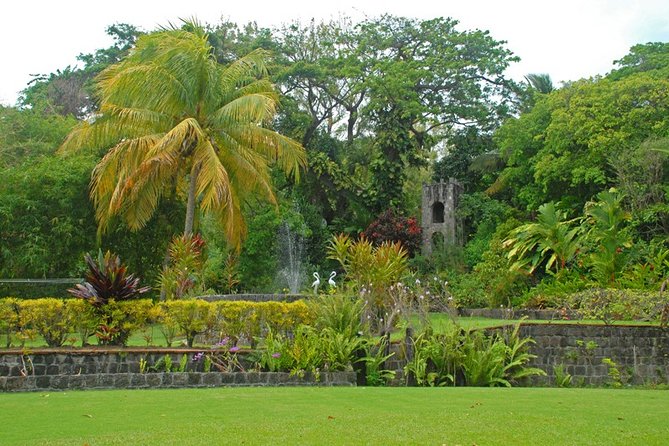 St. Kitts Rainforest Tour - Group size, guides, and the feel of the day