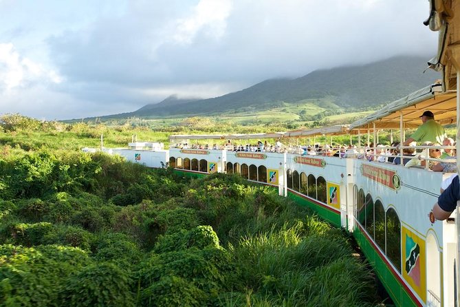 St Kitts Scenic Train Tour (Hotel or Ship) - Five things to know before you book
