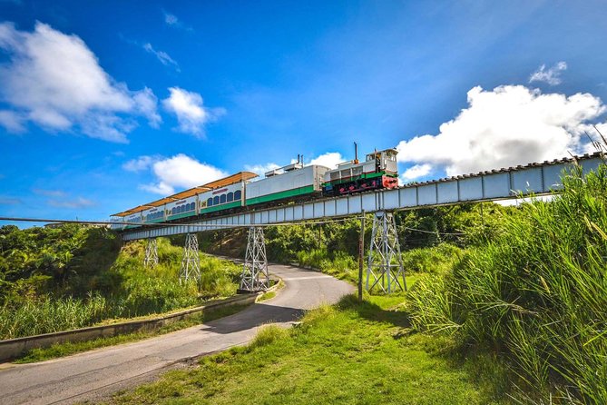 St Kitts Scenic Train Tour (Hotel or Ship) - What the railcars are like inside