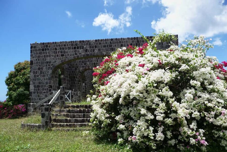 St. Kitts: Top Sights Guided Van or Open-Air Safari Tour - Key points to know before you go