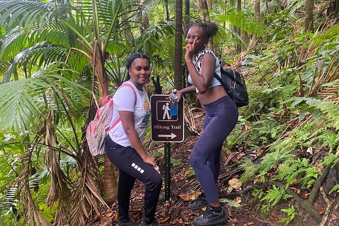 St.Kitts Volcano Hike To Mt. Liamuiga (Highest Peak On Island) - Timing, pickup, and cruise-ship concerns