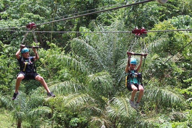 St. Kitts Zipline Experience - Key points to know before you book