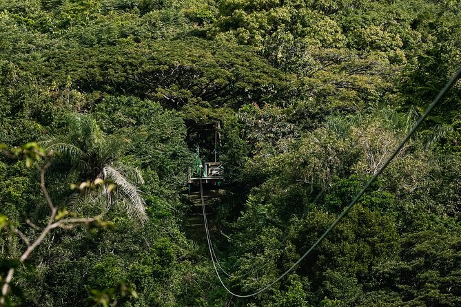 St. Kitts Zipline Experience - Lines 2, 3, and 4 cross high above the valley