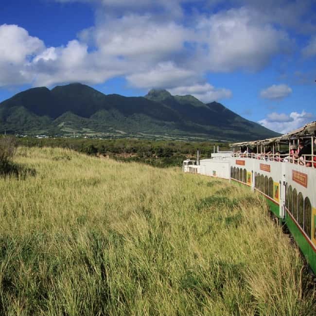 Sugar Train Tour & Drinks|Pick-Up &Drop Off From Cruise Port - Key points to know before you book