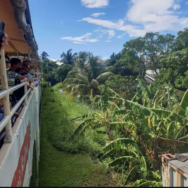 Sugar Train Tour & Drinks|Pick-Up &Drop Off From Cruise Port - A 30-mile rail ride through St. Kitts