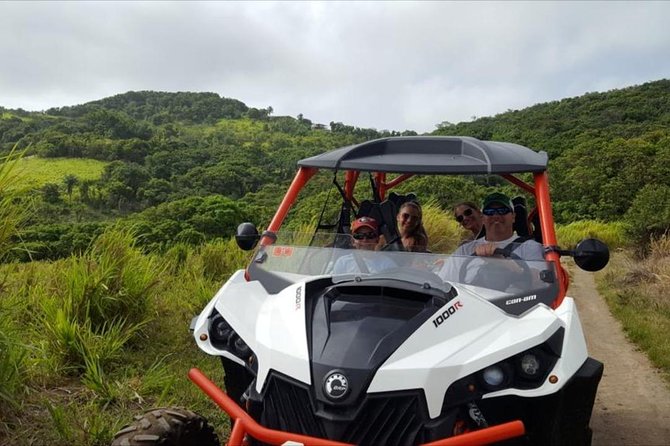 Sunny Blue Rentals in St Kitts for ATV and Dune Buggy Combo Tours - Who will enjoy this tour most