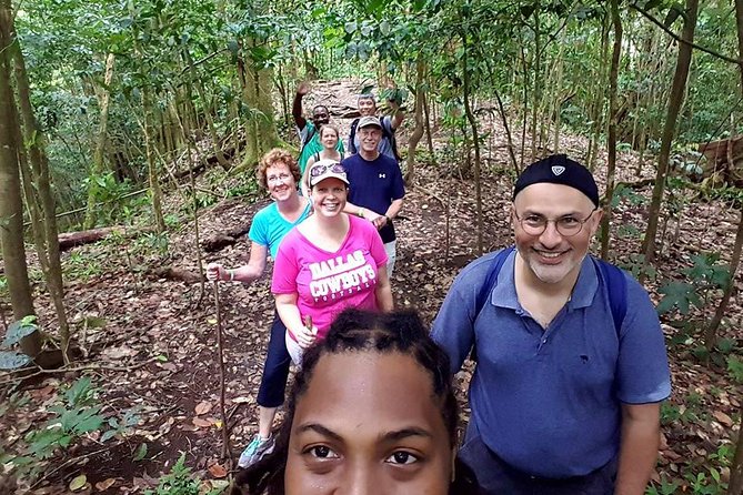 Tropical Rain Forest Explorer Hike In St. Kitts - Why this St. Kitts rainforest walk is worth your time