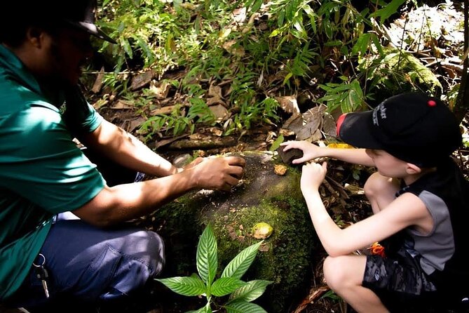 Tropical Rain Forest Explorer Hike In St. Kitts - Stories of freedom near the first lands owned by free slaves