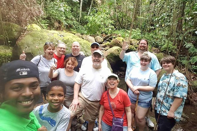 Tropical Rain Forest Explorer Hike In St. Kitts - A guide who lets you set the pace