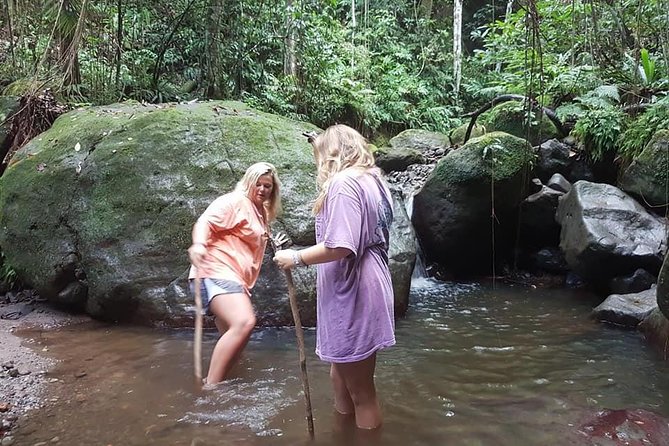 Tropical Rain Forest Explorer Hike In St. Kitts - Meeting Old Road Town and getting into the forest